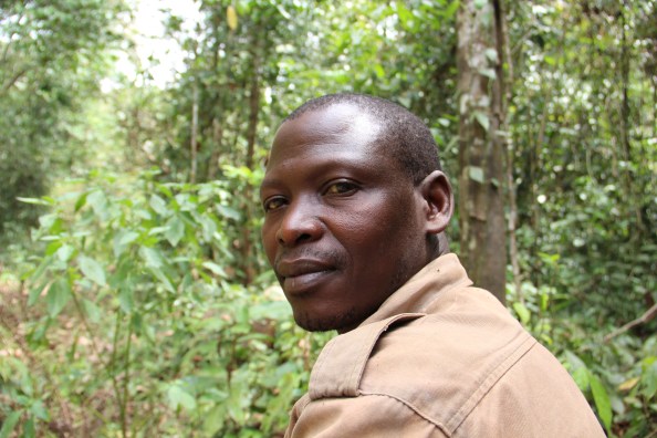 Moses Lemi in the Budongo Forest Reserve