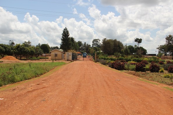 The National Tree Seed Centre, Namanve