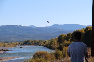Noodle out filming in Jackson Hole